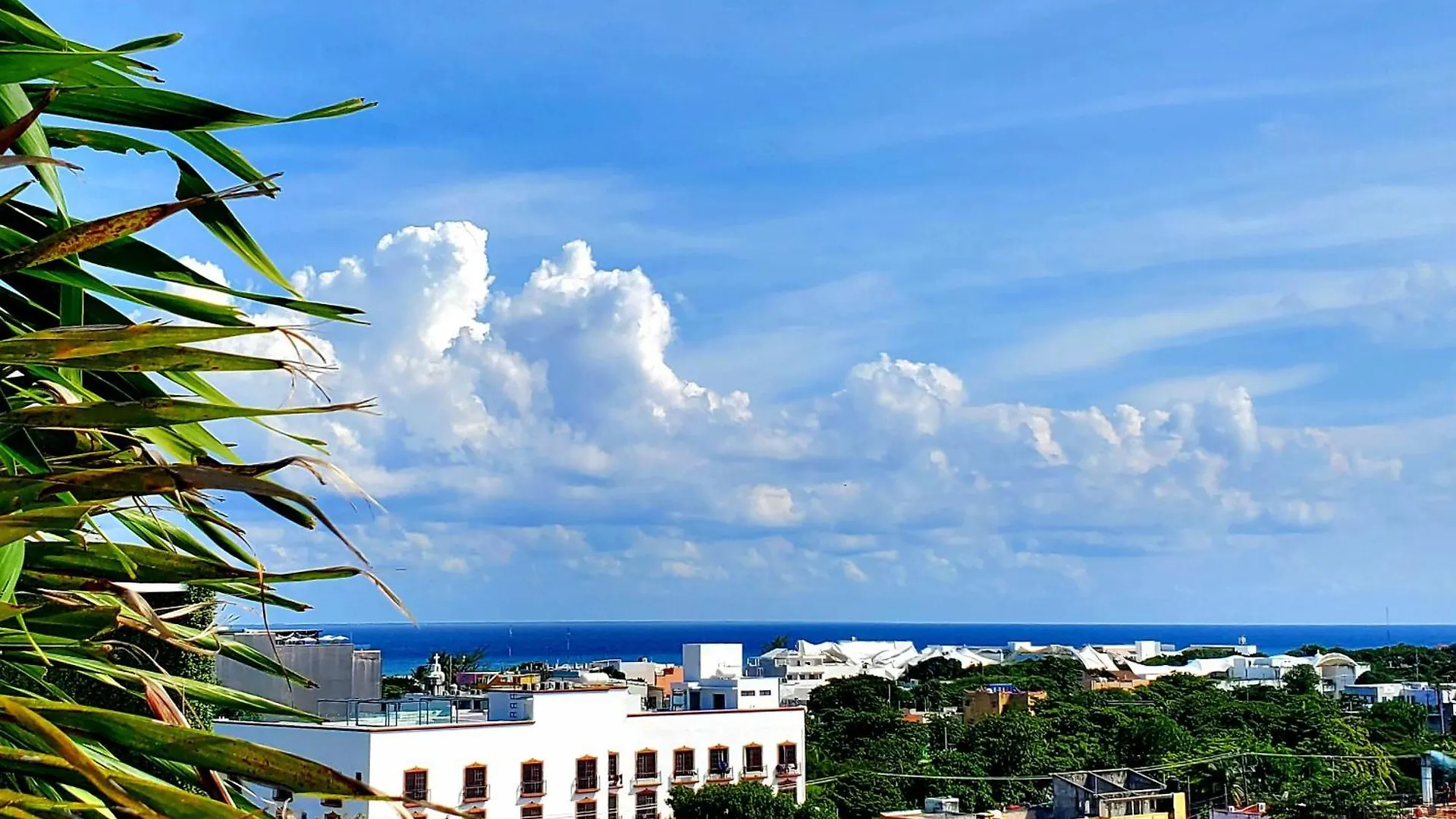 Apartment Ferienwohnung Stylish Loft 4 Blocks From 5 Ave Playa del Carmen