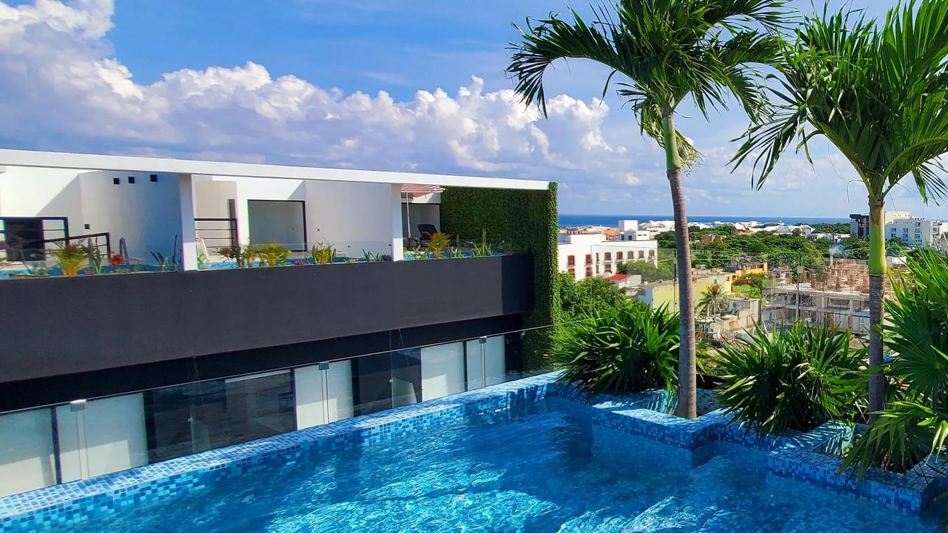 Stylish Loft 4 Blocks From 5 Ave Apartamento Playa del Carmen 0*,  México